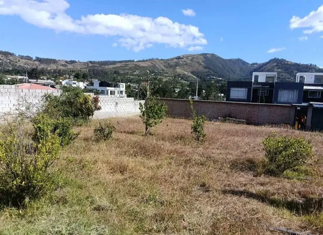 Vendo Terreno Plano con Cerramiento de 630 m² en La Morita 2 Tumbaco — imagen 4
