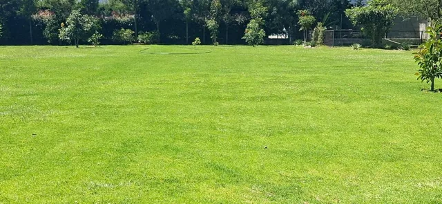 Terreno - Puembo — imagen 4