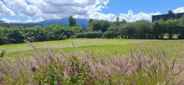 Terreno - Puembo — imagen 5