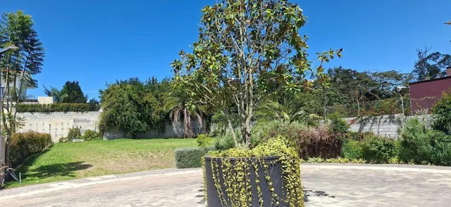 Terreno - Puembo — imagen 3