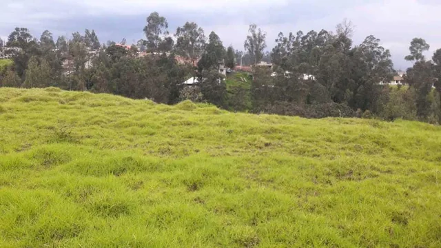 Oportunidad Para Constructores, Terreno en Venta, Alangasí - Los Chillos — imagen 5