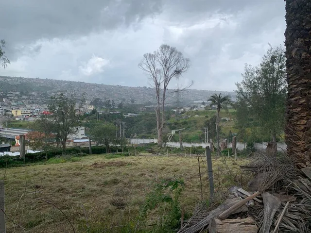 Venta Terreno de 12000 m² Para Proyecto Inmobiliario (Mitad del Mundo) — imagen 4