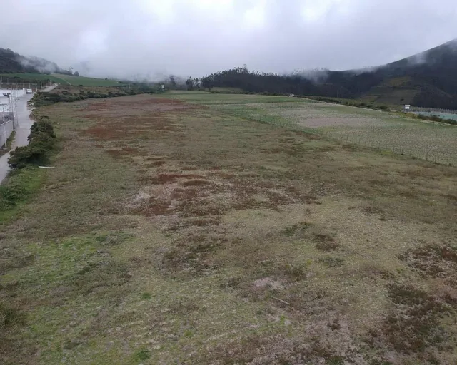 Terreno Industrial I3 Tia Calacali — imagen 3
