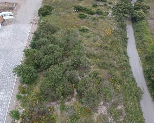 Terreno Industrial I3 Tia Calacali — imagen 2