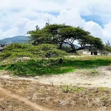 En Venta Terreno de 4.700 m² + Casa de 127 m² en San Antonio de Pichincha — imagen 3