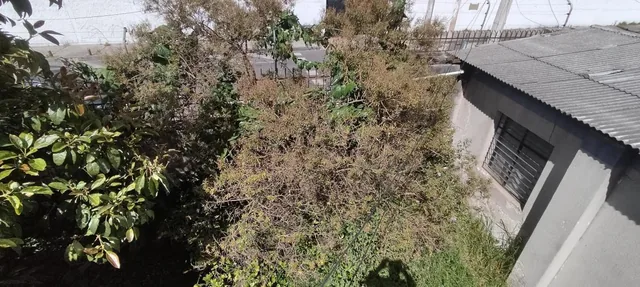 Vendo Terreno de 621 m en El Sector de La Pradera — imagen 3