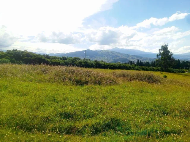Terreno 15 Has en Venta Sector El Inga, pifo — imagen 4