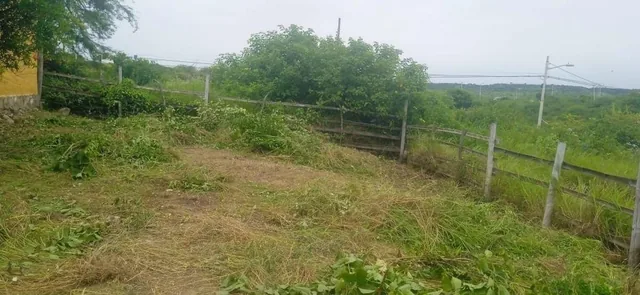 Venta Terreno con Vista Al Mar Punta Blanca — imagen 2