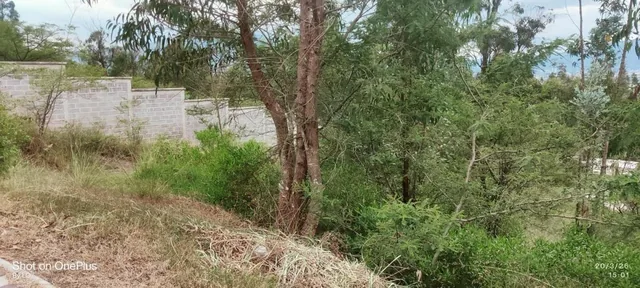 Vendo Exclusivo Terreno en Urbanización Rumikuna – Collaquí, Tumbaco — imagen 4