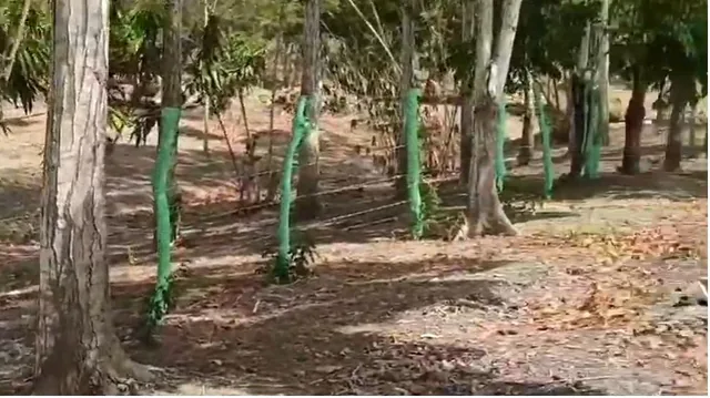 Vía a La Costa, Terreno de Oportunidad Al Filo de La Carretera Km 69 Despues del Peaje, Guayas — imagen 4