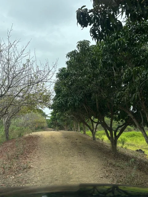 Vendo Terreno (Finca) Via a La Costa Km 40 Pasando Consuelo, Excelente Ubicación Frente a Via 409 m, Guayas — imagen 5