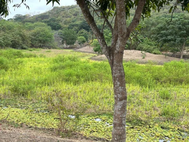 Vendo Terreno (Finca) Via a La Costa Km 40 Pasando Consuelo, Excelente Ubicación Frente a Via 409 m, Guayas — imagen 4