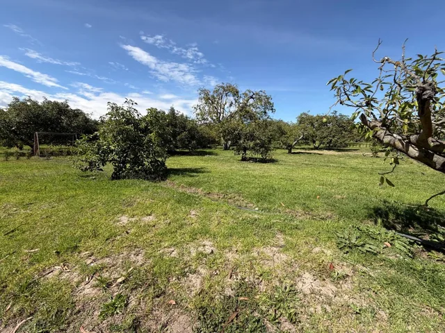 Terreno de Venta en Puembo — imagen 4