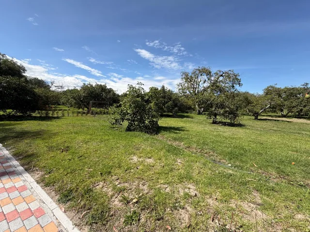 Terreno de Venta en Puembo — imagen 3