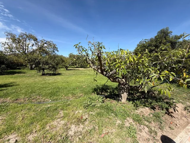 Terreno de Venta en Puembo — imagen 2