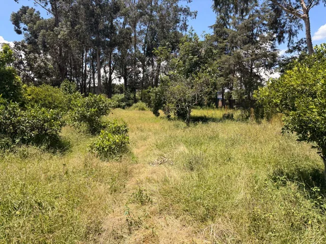 Terreno de 9203 m² en Venta en Tumbaco con Área de Bbq — imagen 2