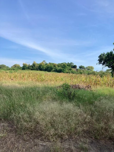 Se Vende 7.8has Km49 Vía a La Costa - W. Sánchez, Guayas — imagen 4