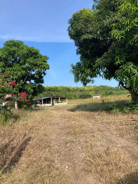 Se Vende 7.8has Km49 Vía a La Costa - W. Sánchez, Guayas — imagen 3