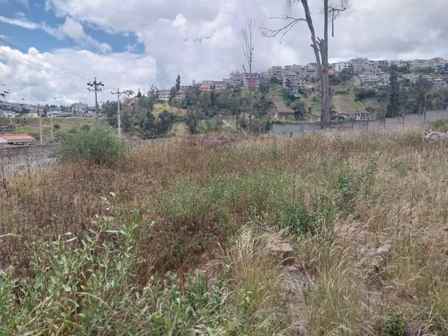 Vendo Hermoso Terreno en Pomasqui, Junto Al Colegio Francés, Totalmente Plano, Urbanizacion Privada — imagen 2