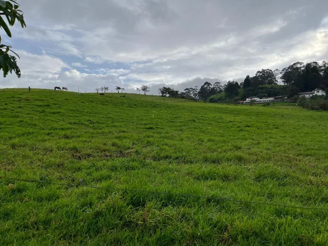 Vendo - 5 Hermosos Lotes de Terreno - en Machachi — imagen 2