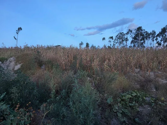 Venta Lotes de de Terreno Calderón Cerca Al Parque Metropolitano - Planta de Agua Calderón — imagen 5