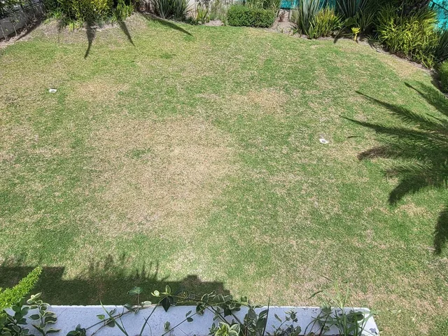 Urbanizacion Amany Puembo — imagen 5