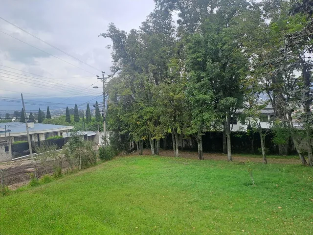 Terreno en Venta Sector Alangasi — imagen 5