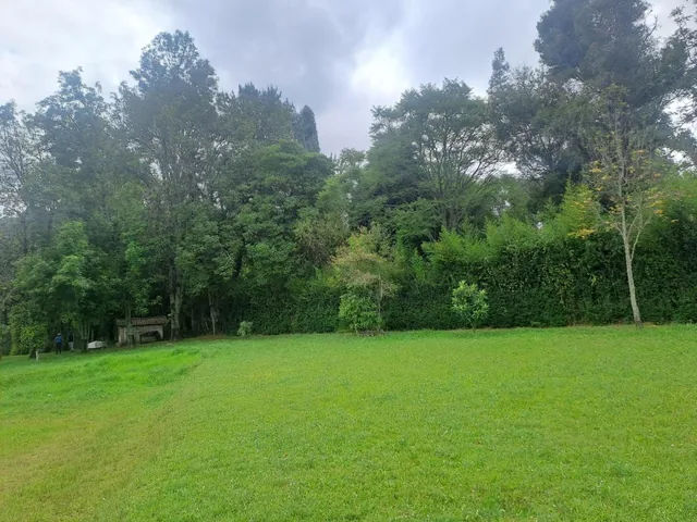Terreno en Venta Sector Alangasi — imagen 4