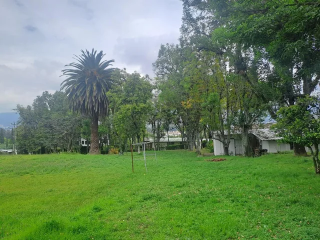 Terreno en Venta Sector Alangasi — imagen 2