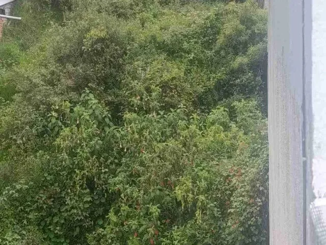 Terreno de 470 m² en Venta en La Gasca — imagen 4