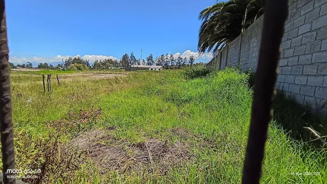 Terreno de Venta en Tumbaco Av Universitaria La Morita — imagen 2