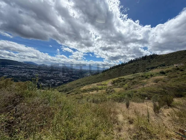 En Venta Terreno 10.000 m². Sector Intervalles — imagen 3