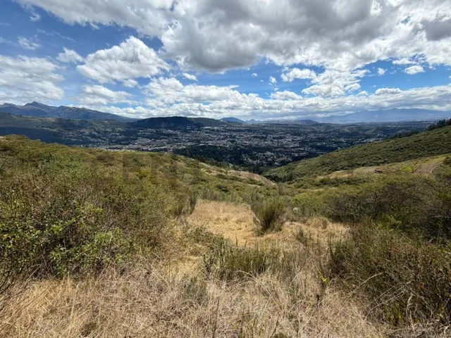 En Venta Terreno 10.000 m². Sector Intervalles — imagen 2