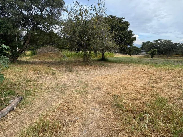 Vendo Terreno en Puembo, 4.458 m², Excelente Ubicación, Zona de Alta Plusvalia, Vía Arrayanes! — imagen 5