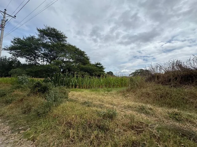 Vendo Terreno en Puembo, 4.458 m², Excelente Ubicación, Zona de Alta Plusvalia, Vía Arrayanes! — imagen 3