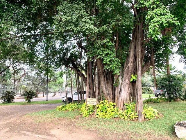 Vendo Terreno Via Samborondon Frente Río Daule con Lagos, Ideal Desarrollo Urbanístico, Guayas — imagen 5