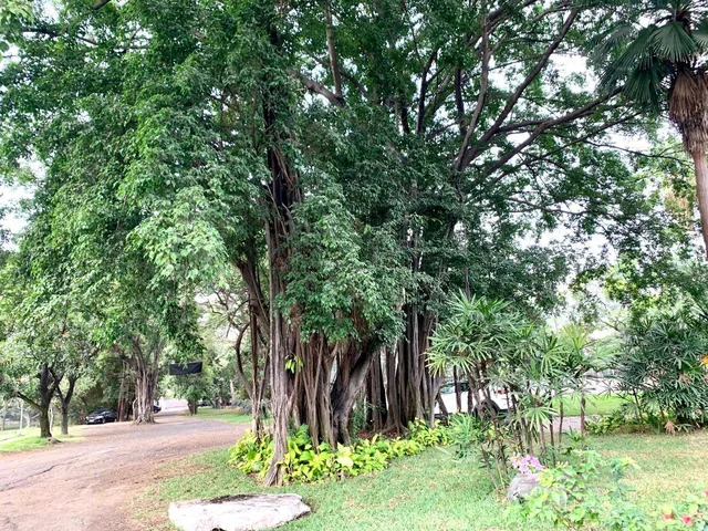 Vendo Terreno Via Samborondon Frente Río Daule con Lagos, Ideal Desarrollo Urbanístico, Guayas — imagen 4