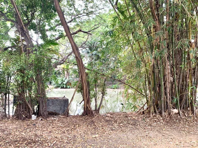 Vendo Terreno Via Samborondon Frente Río Daule con Lagos, Ideal Desarrollo Urbanístico, Guayas — imagen 2