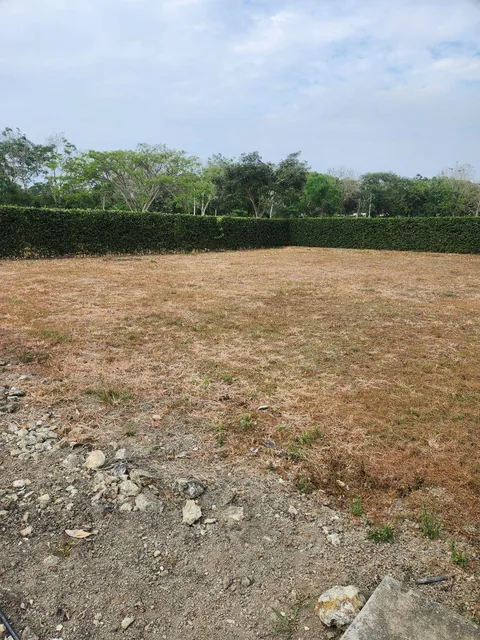 Lotes Varios en La Vía a San Vicente de Loja, Olon — imagen 3