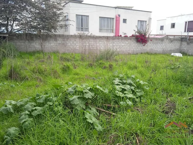 Renta Terreno 1400 m² - Gualo — imagen 4