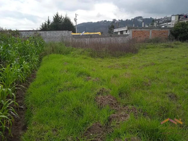 Renta Terreno 1400 m² - Gualo — imagen 2