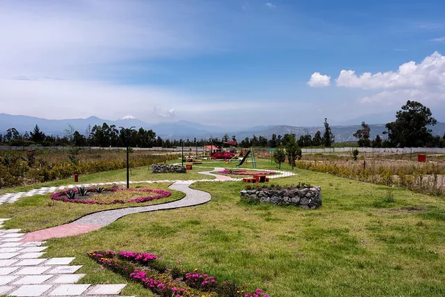 Lotes de Terreno en Malchingui Urbanización Paseo de Los Algarrobos — imagen 5