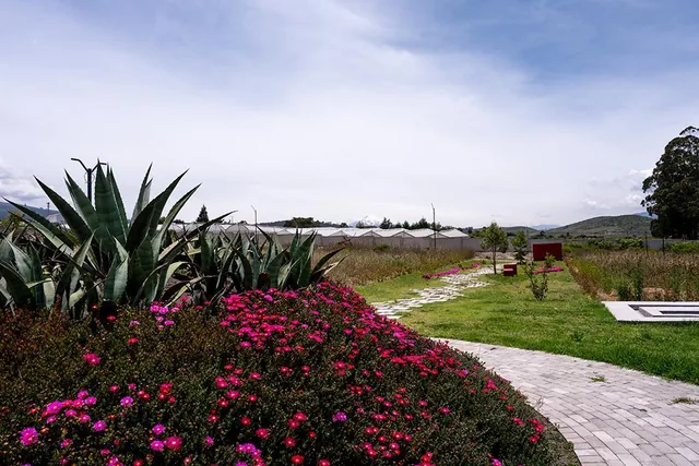 Lotes de Terreno en Malchingui Urbanización Paseo de Los Algarrobos — imagen 3