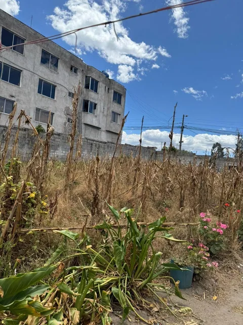 ¡Vende Terreno Plano en Sector Las Salle 2 – La Salle! — imagen 3