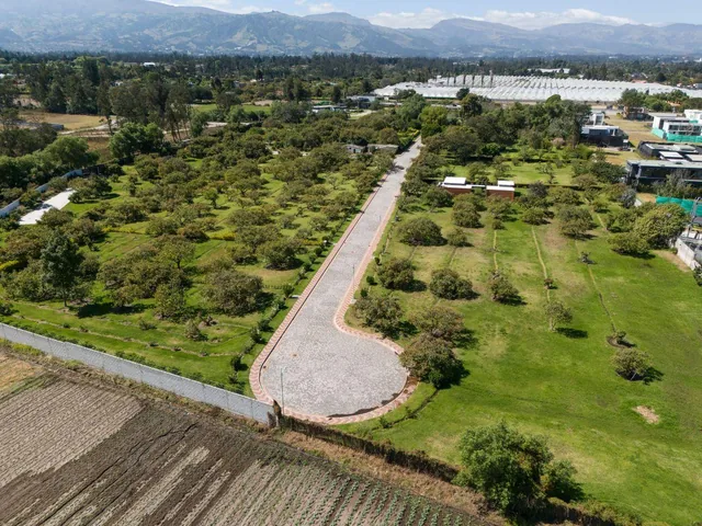 Lote en Venta de 1.425 m² en El Mejor Sector de Puembo en Urbanización — imagen 4