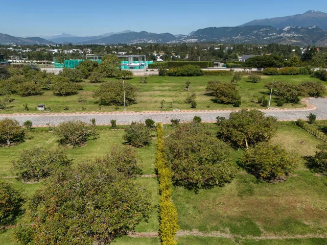 Lote en Venta de 1.425 m² en El Mejor Sector de Puembo en Urbanización — imagen 2
