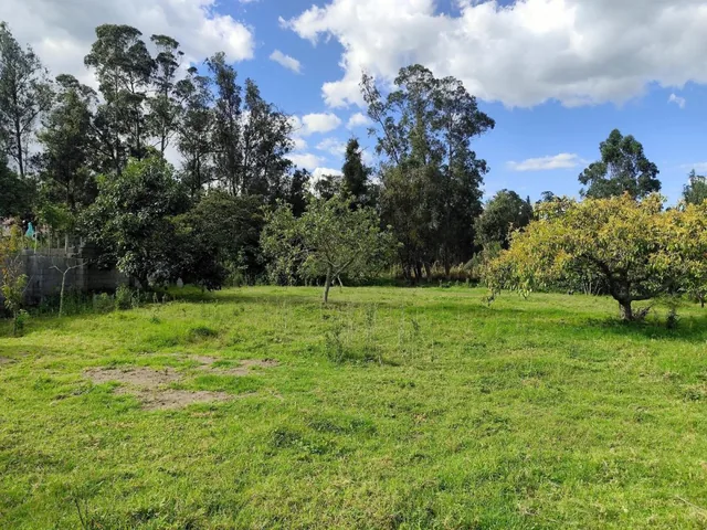 Terreno en Renta en San Francisco de Pinsha, 4.000 m², Ideal Para Turismo, Eventos y Gastronomía — imagen 5
