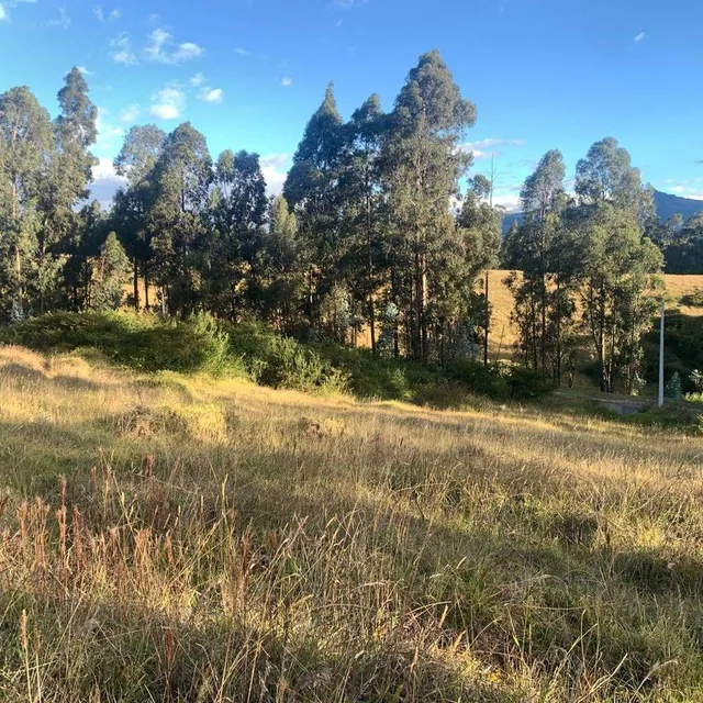 Valle Venta Terreno 3500 m² Dentro de Urbanizacion Valle de Los Chillos Altos de Betania — imagen 5