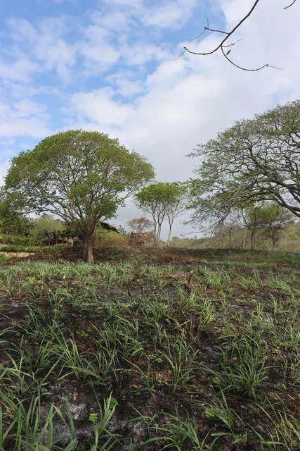 Lindo Lote de 9532 m², Junto a La Ruta del Spondylus, en Jama, Punta Don Juan. Vista Al Pacifico, Manabí — imagen 2