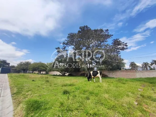 Terreno en Venta 1.200 m² en Puembo — imagen 5